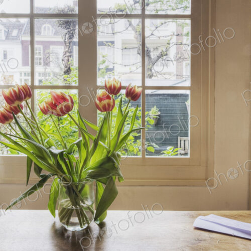 Tulips in vase on table by window Tulips in vase on table by window