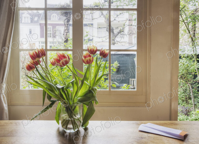 Tulips in vase on table by window