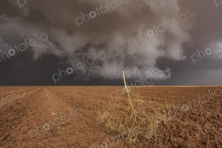 Tumbleweed and Ongoing Mesocyclone