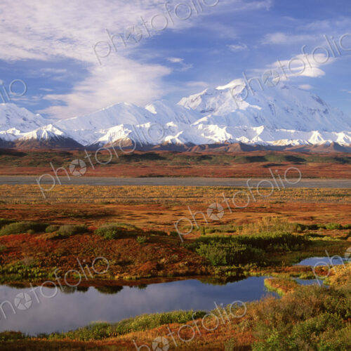 Tundra and kettle pond in Denali National Park, Alaska in the fall. Mount McKinley in…