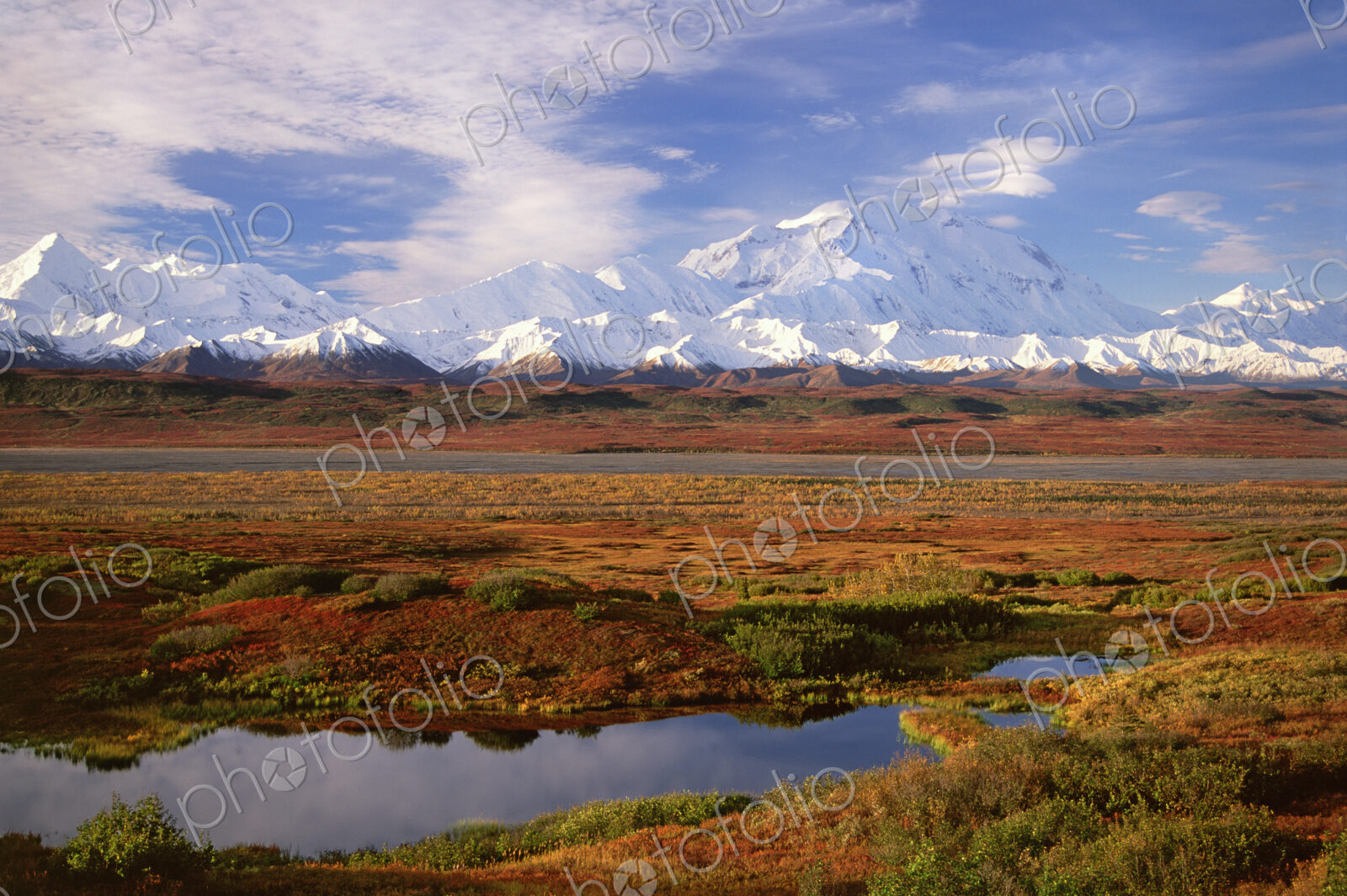 Tundra and kettle pond in Denali National Park, Alaska in the fall. Mount McKinley in…