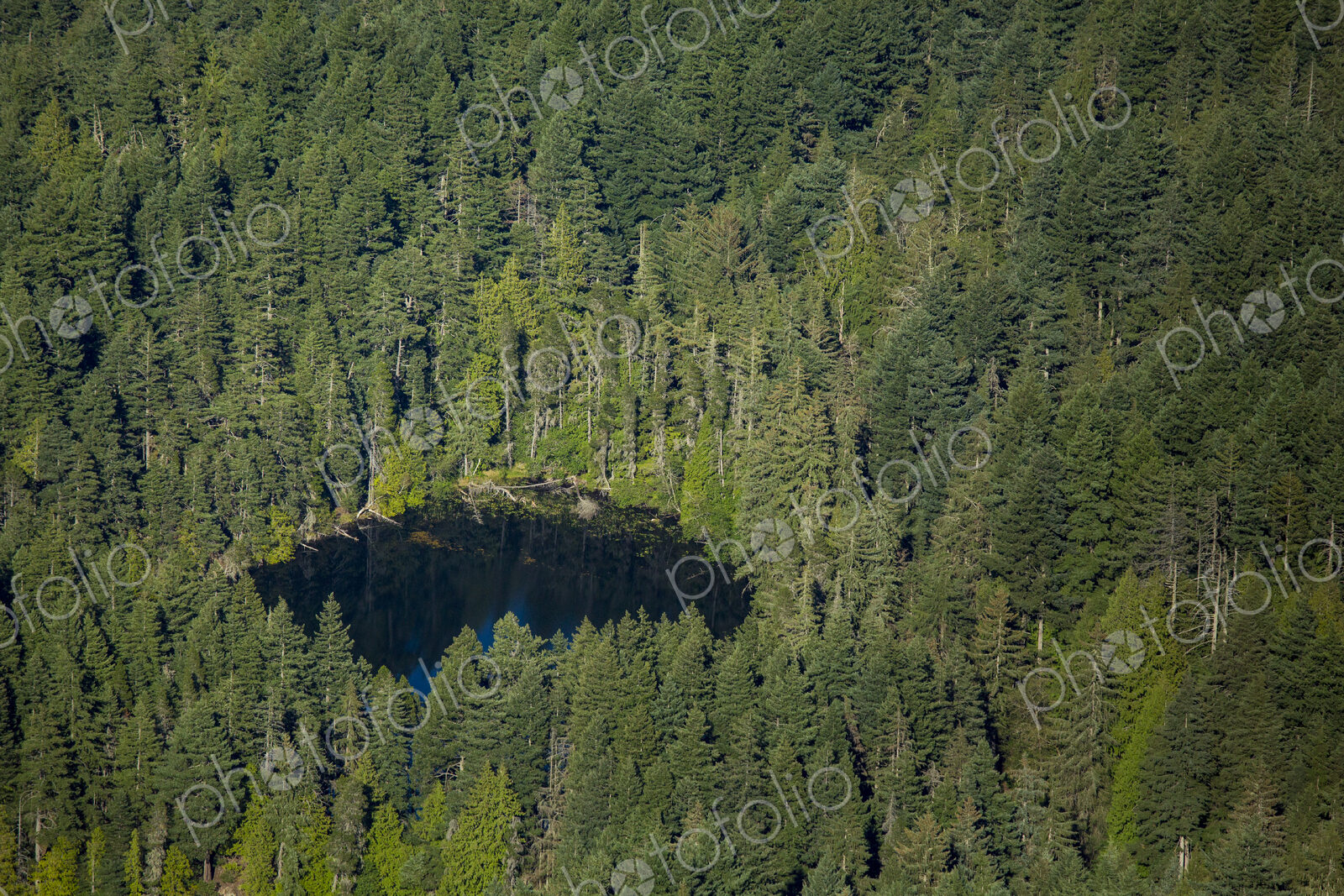 Twin Lakes in Moran State Park, Orcas Island, aerial view.