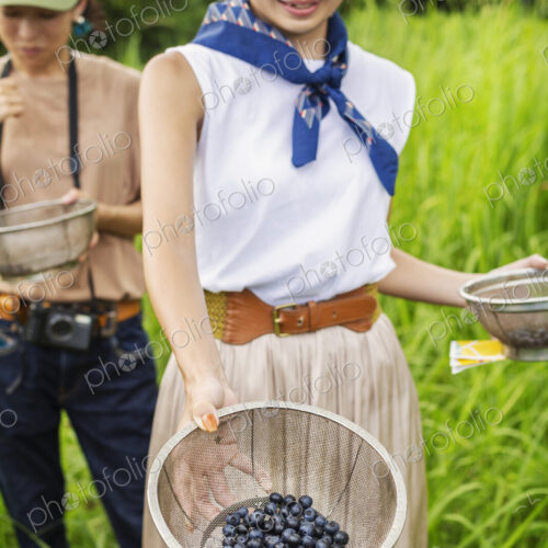 Two Japanese woman picking berries in a field. Two Japanese woman picking berries in a field.