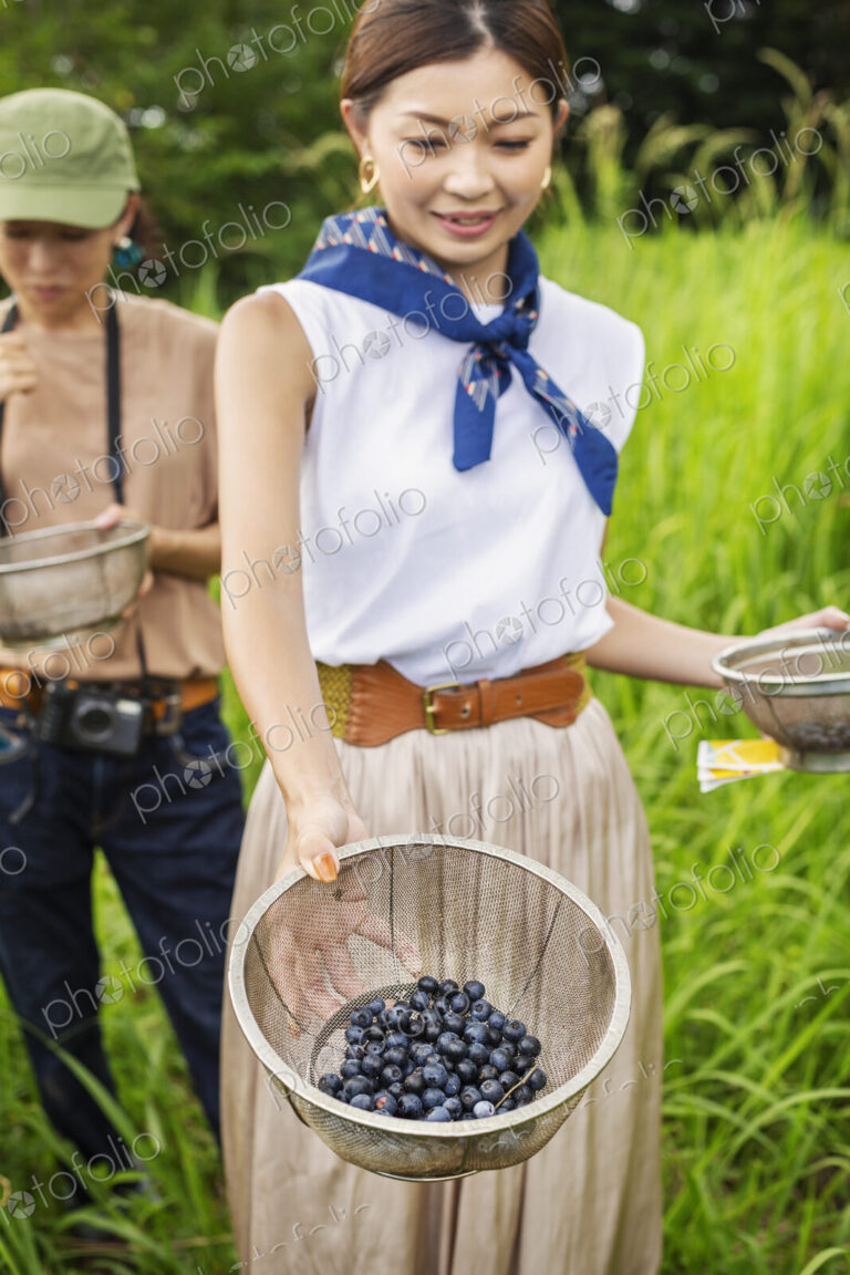 Two Japanese woman picking berries in a field.