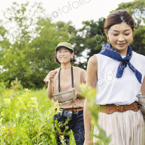 Two Japanese women picking berries in a field. Two Japanese women picking berries in a field.