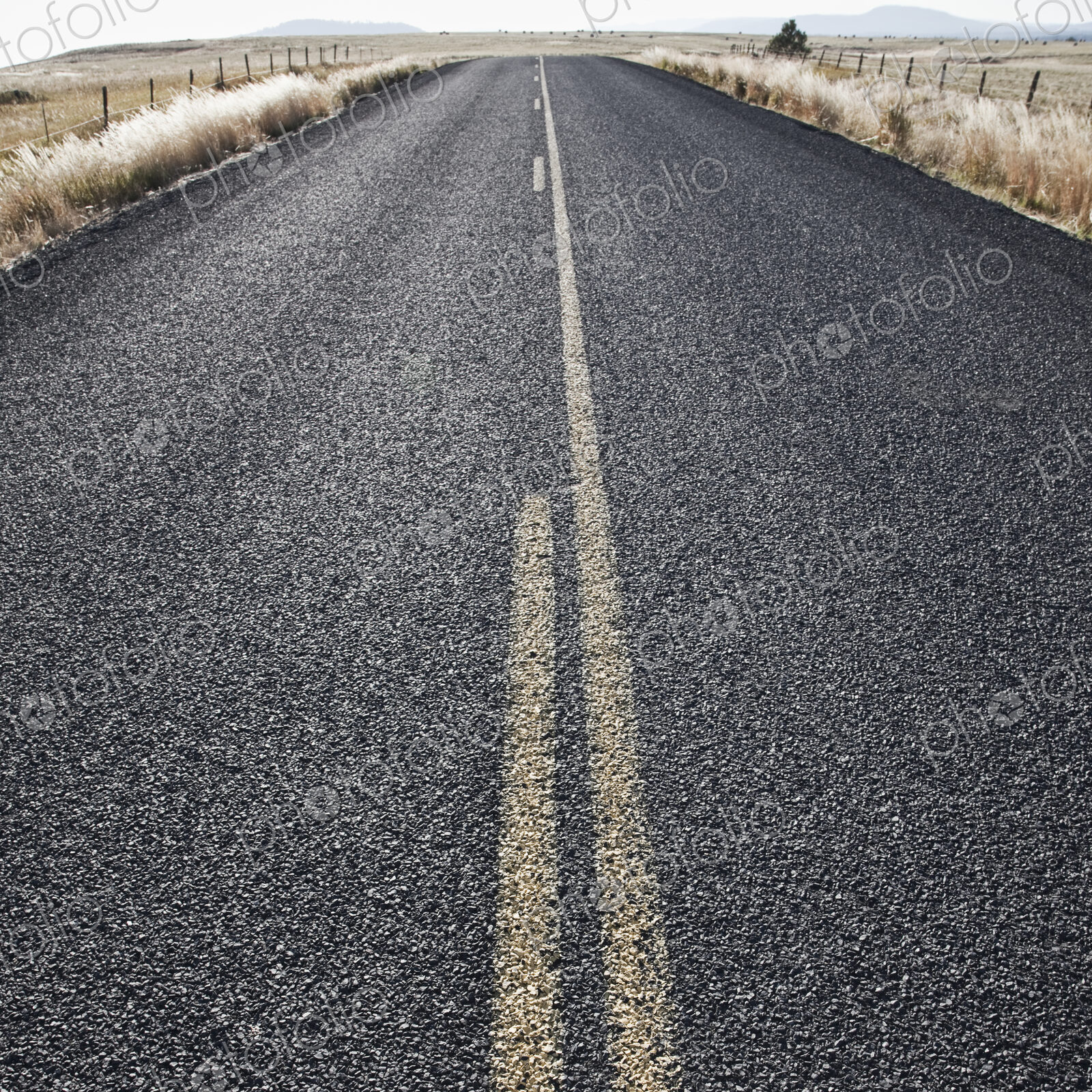 Two Lane Road Between Fenced Fields