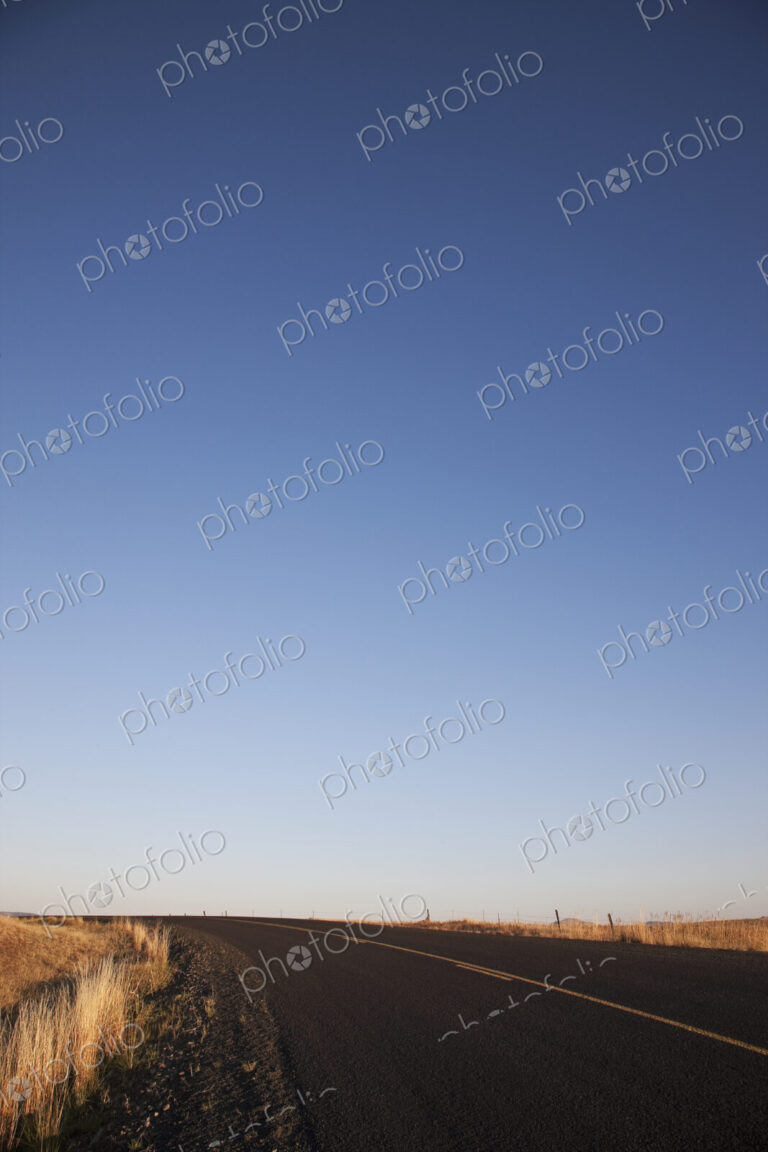 Two Lane Road Between Fields