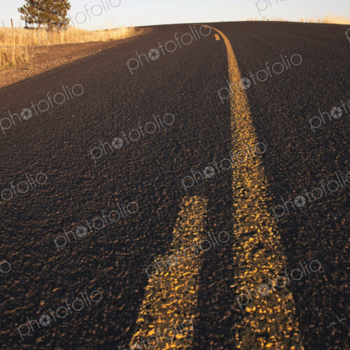 Two Lane Road Between Fields