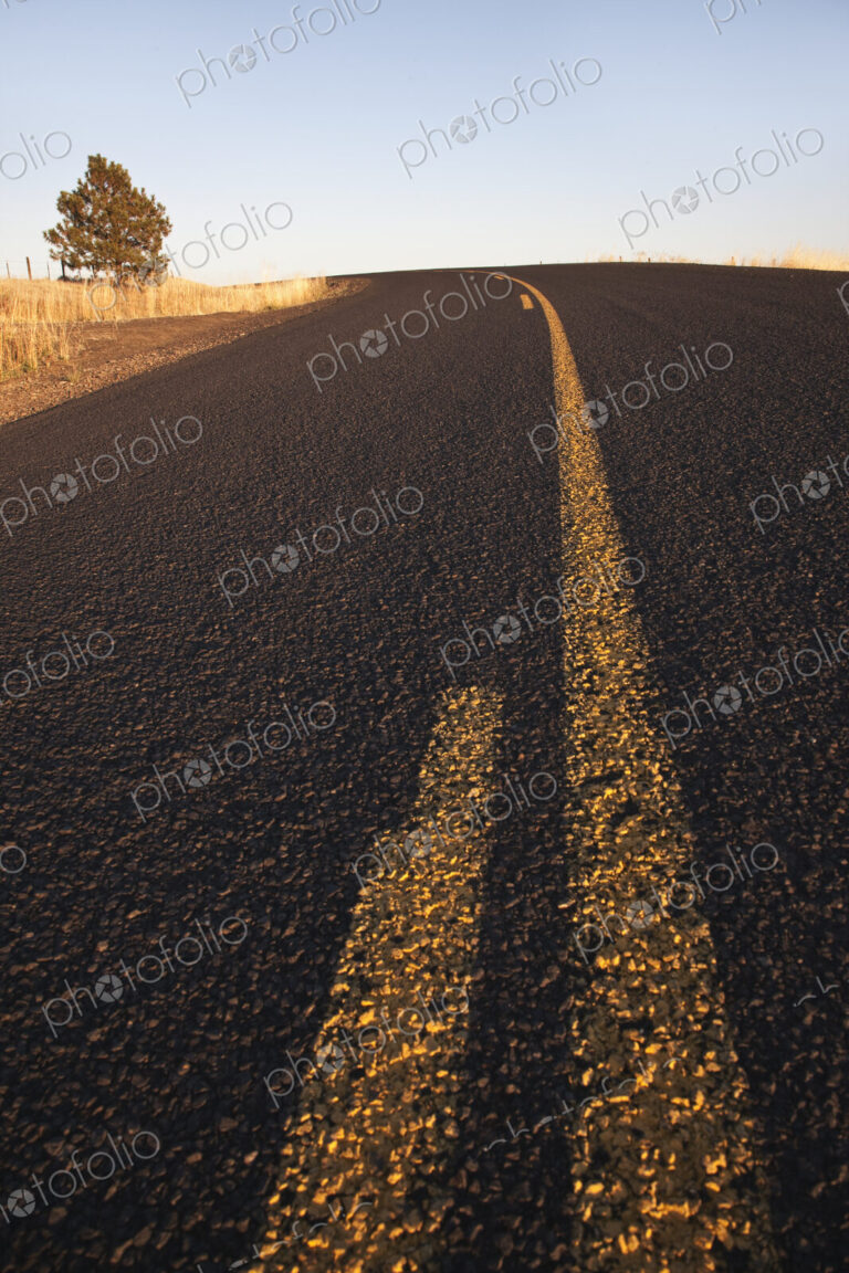 Two Lane Road Between Fields
