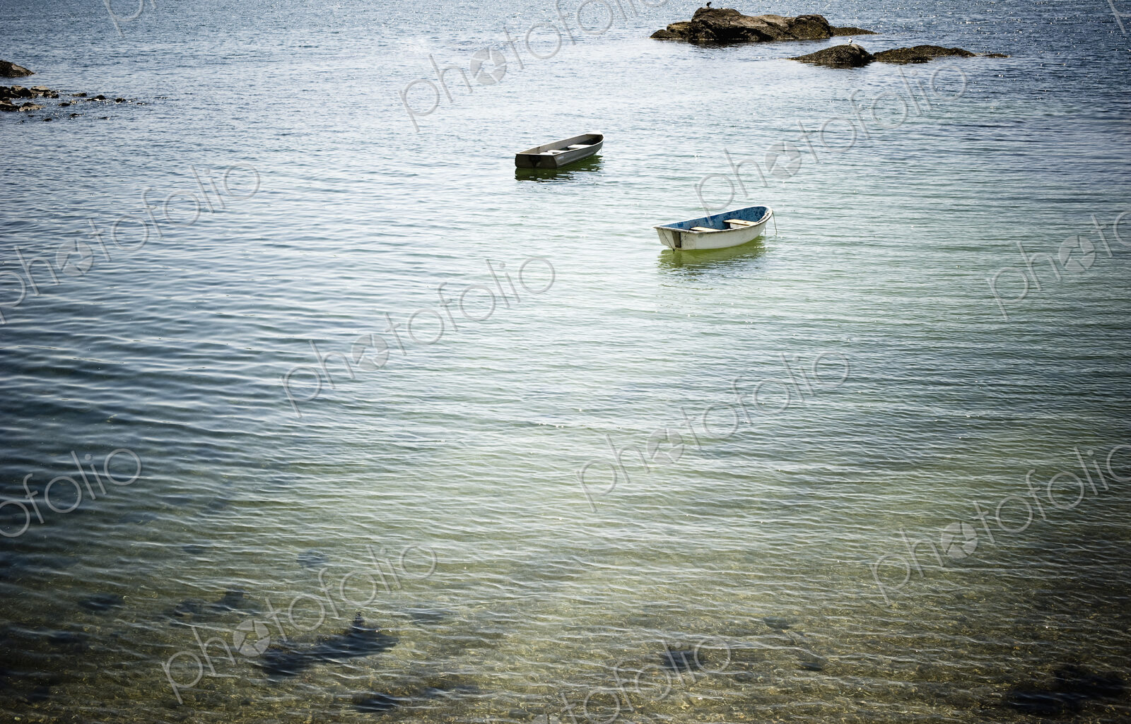 Two Rowboats Near a Beach Shore