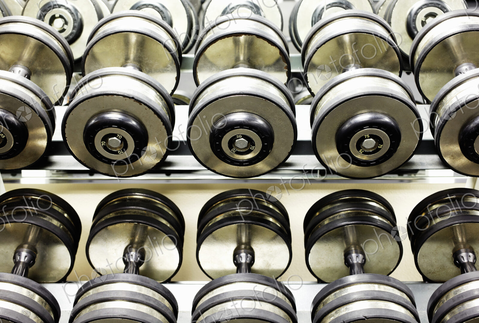 Two Rows of Dumbbells
