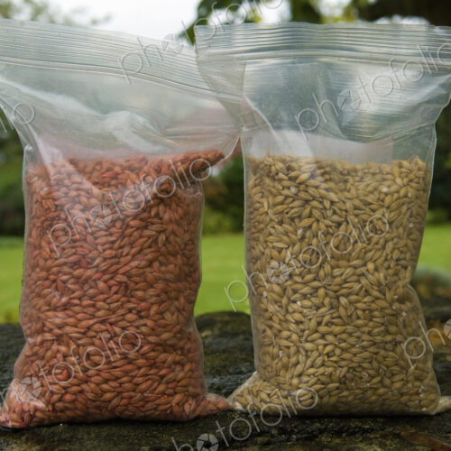Two bags of seed wheat, one with and one without seed dressing treatment.