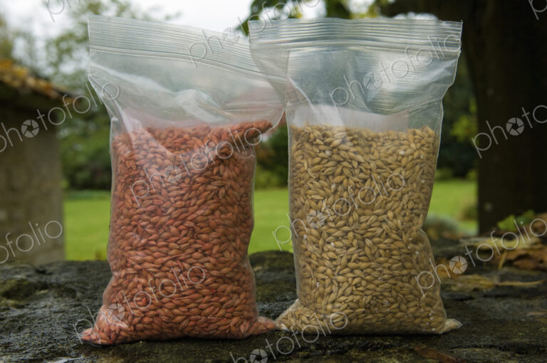 Two bags of seed wheat, one with and one without seed dressing treatment.