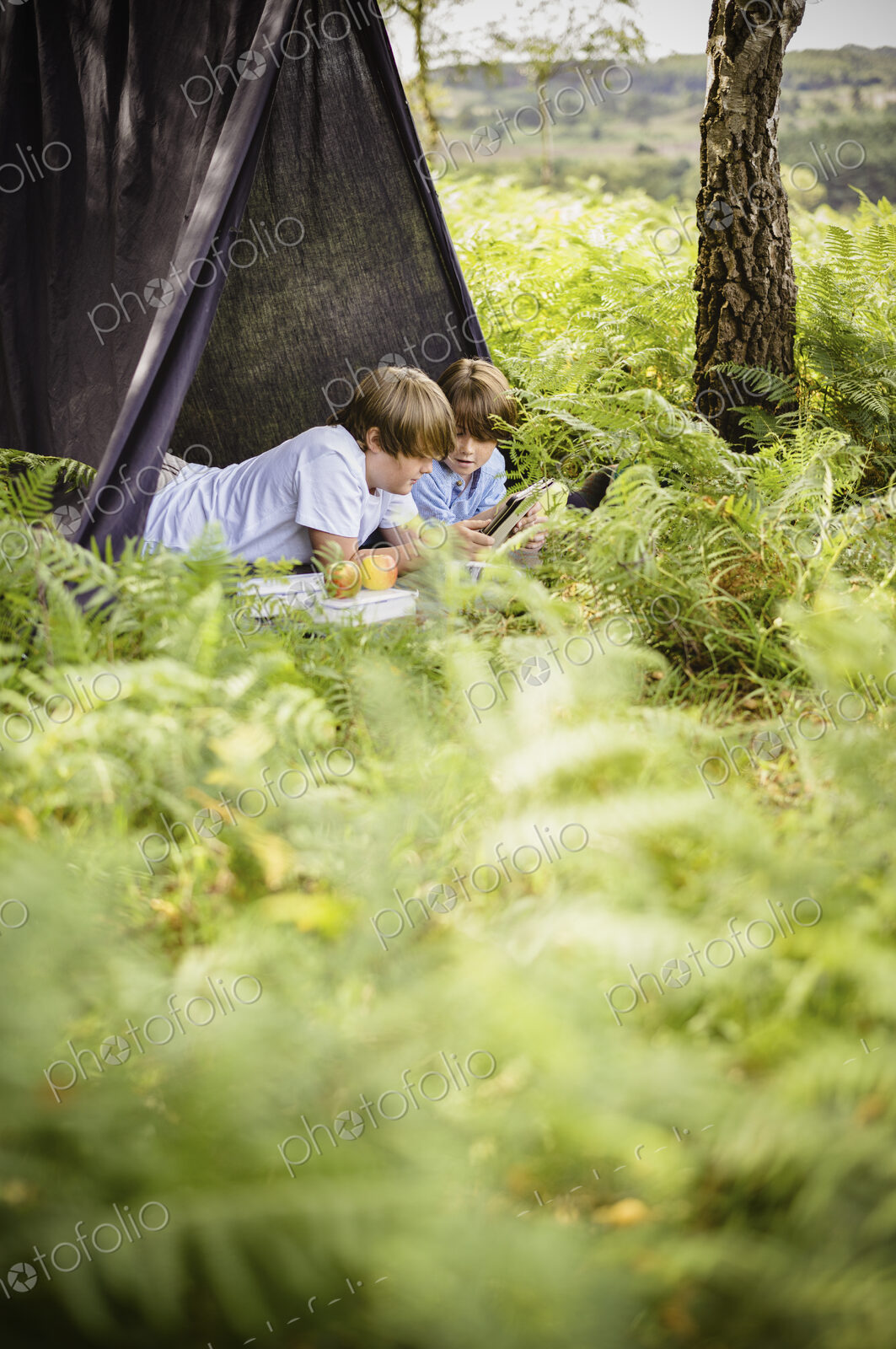 Two boys camping in the New Forest, lying under a canvas shelter.