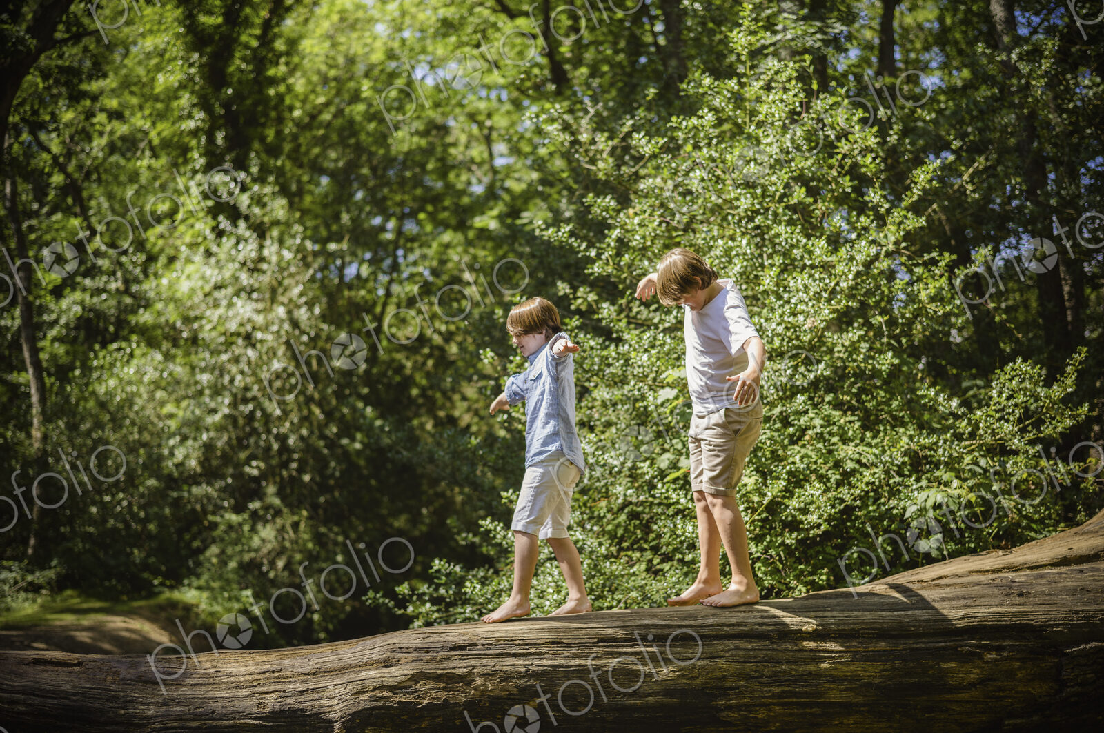 Two boys camping in the New Forest. Walking along a log above the water, balancing…