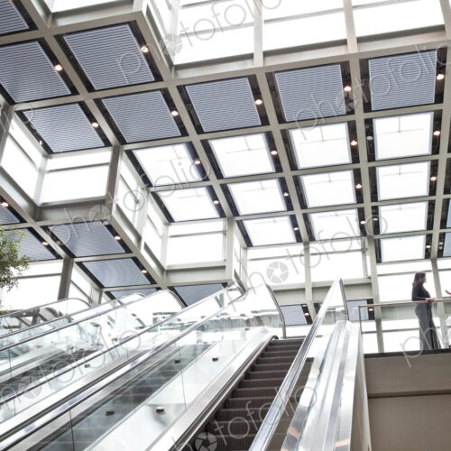 Two business people meeting at the top of an escalator in a large convention center lobby
