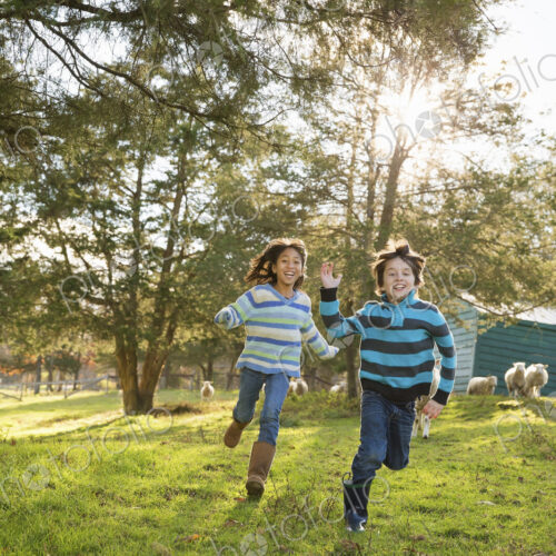 Two children at an animal sanctuary, in a paddock feeding two sheep. Two children at an animal sanctuary, in a paddock feeding two sheep.