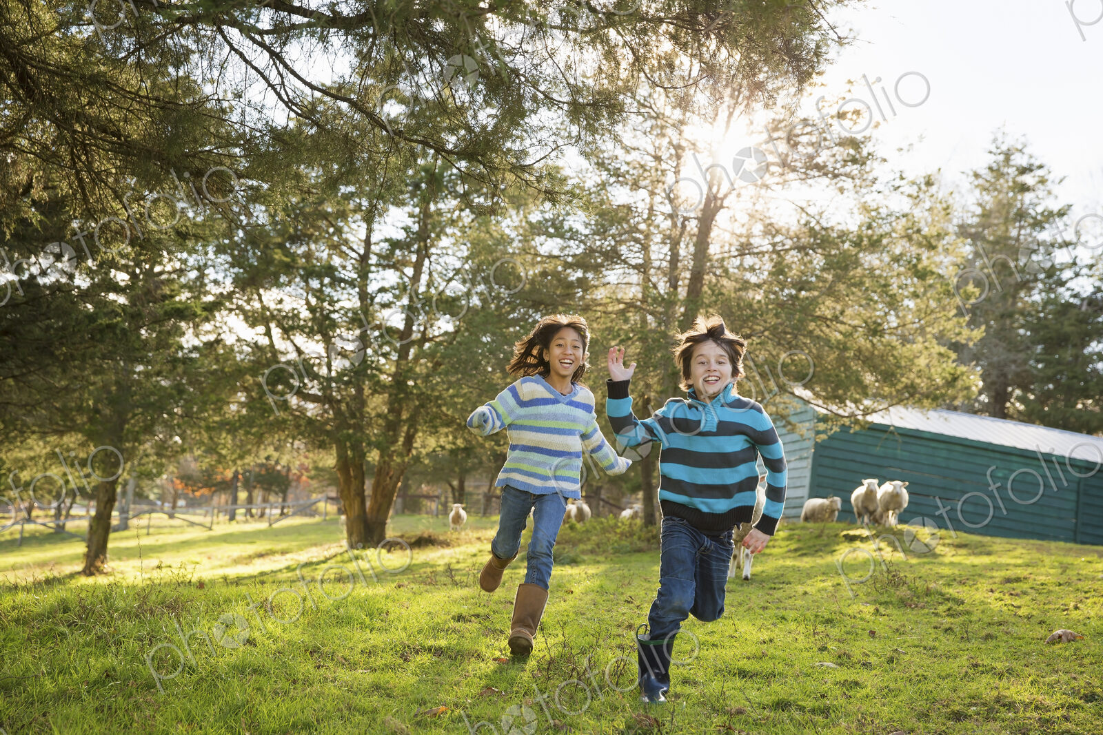Two children at an animal sanctuary, in a paddock feeding two sheep.