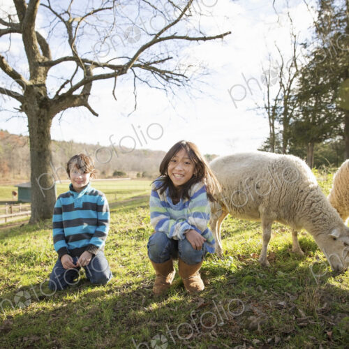 Two children at an animal sanctuary, in a paddock with sheep. Two children at an animal sanctuary, in a paddock with sheep.