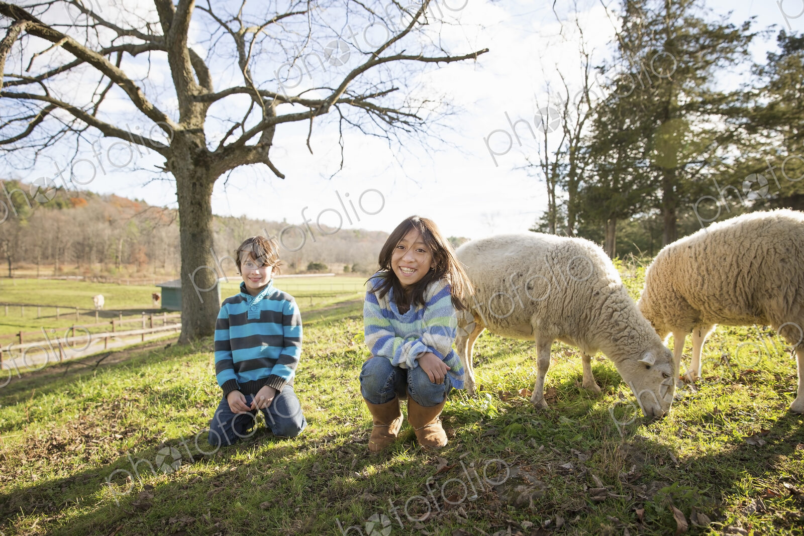 Two children at an animal sanctuary, in a paddock with sheep.