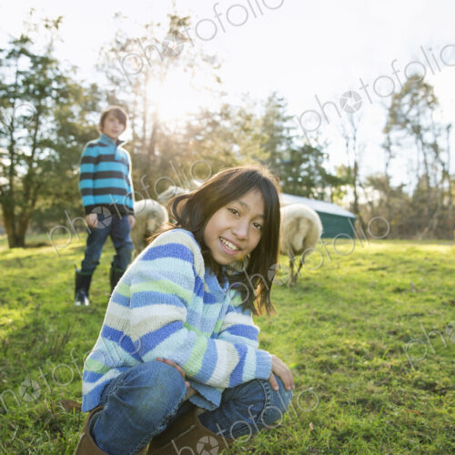 Two children at an animal sanctuary, in an animal enclosure with a group of sheep. Two children at an animal sanctuary, in an animal enclosure with a group of sheep.