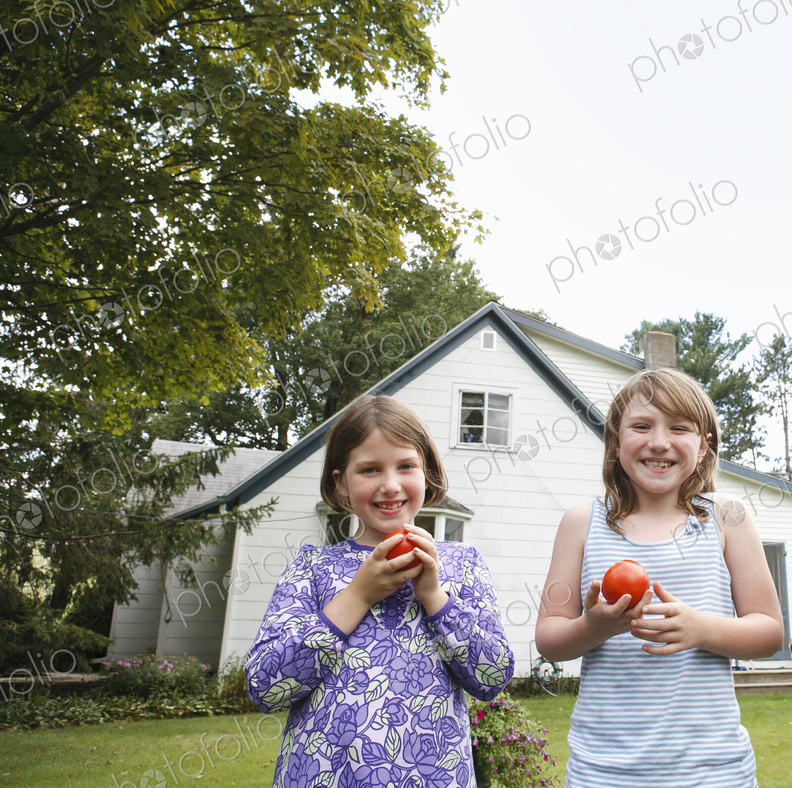 Two children, girls standing in a garden holding and eating fresh picked tomatoes.