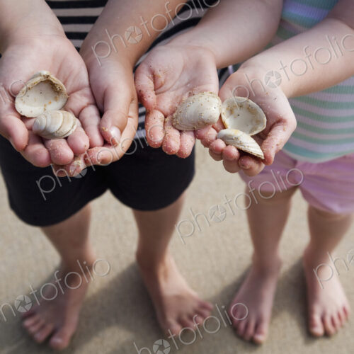 Two children with hands holding sea shells. Two children with hands holding sea shells.