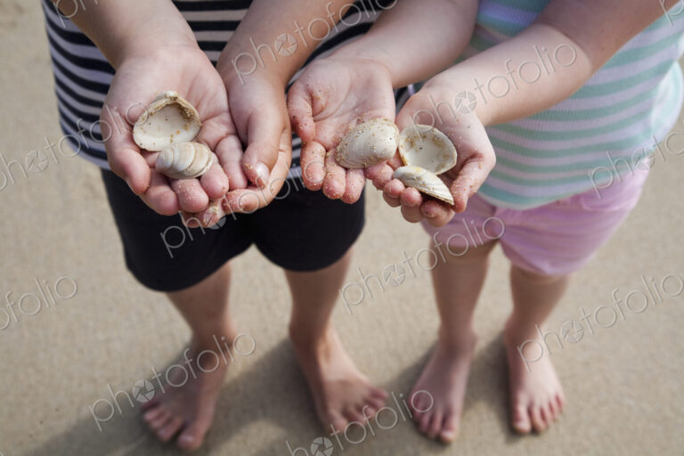 Two children with hands holding sea shells.