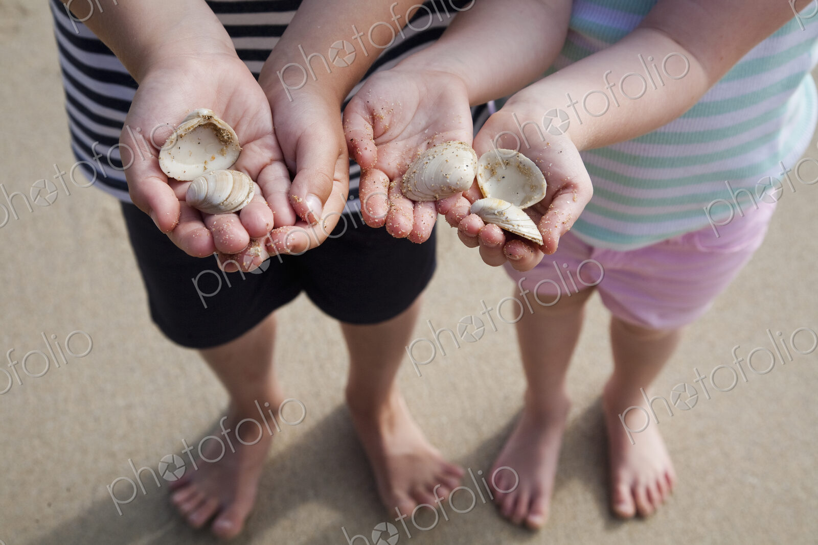 Two children with hands holding sea shells.