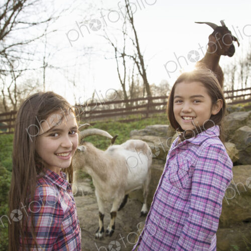 Two children, young girls, in the goat enclosure at an animal sanctuary. Two children, young girls, in the goat enclosure at an animal sanctuary.