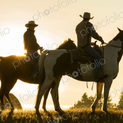 Two cowboys riding on horseback in a Prairie landscape at sunset. Two cowboys riding on horseback in a Prairie landscape at sunset.