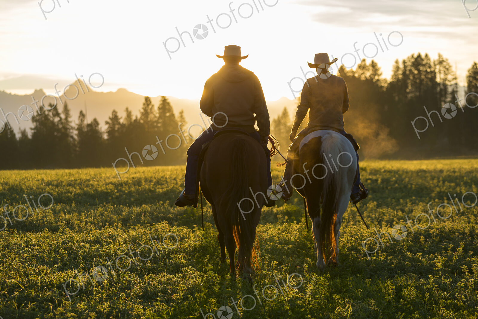 Two cowboys riding on horseback in a Prairie landscape at sunset.