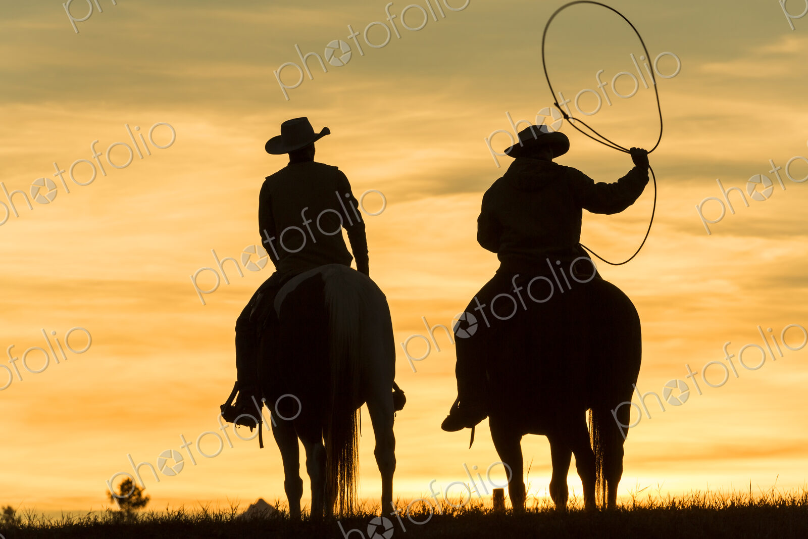 Two cowboys riding on horseback in a Prairie landscape at sunset, one swinging lasso.