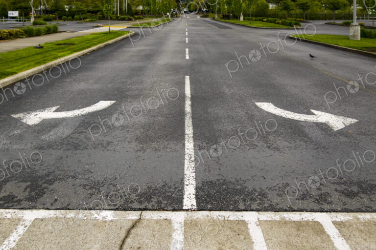 Two directional Arrow symbols curving left and right away from each other on a road…