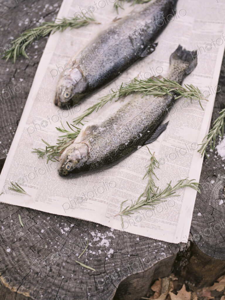 Two fish lying on a tree trunk.