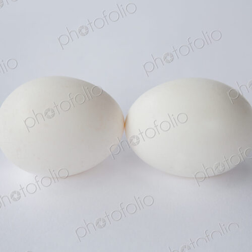 Two free range organic eggs with white shells, end to end, against a white background. Two free range organic eggs with white shells, end to end, against a white background.