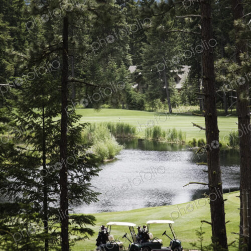 Two golf carts parked on a golf course. Two golf carts parked on a golf course.