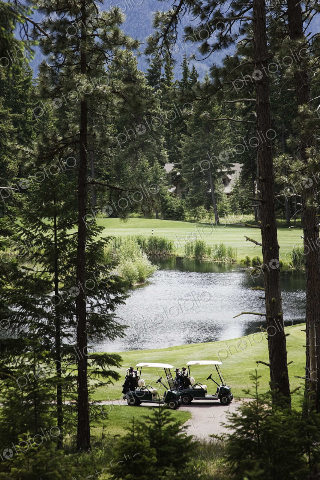 Two golf carts parked on a golf course.