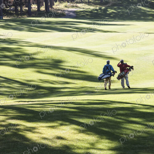 Two golfers surveying the next shot on the fairway. Two golfers surveying the next shot on the fairway.