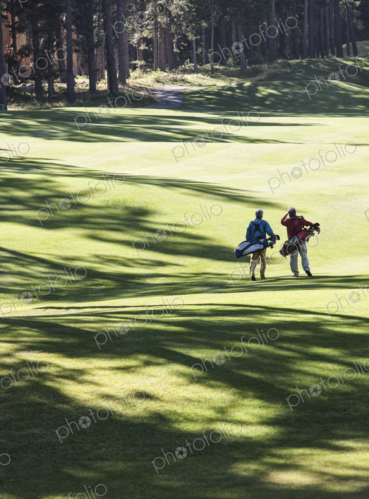 Two golfers surveying the next shot on the fairway.