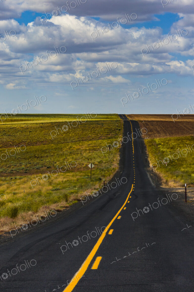 Two lane rural road in the Palouse, near Lind.
