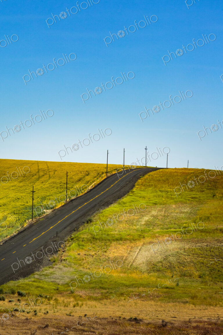 Two lane rural road in the Palouse near Ritzville on a hillside in meadows.