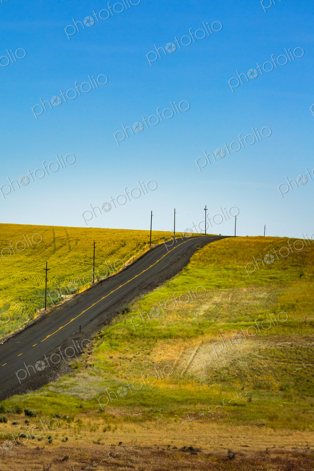 Two lane rural road in the Palouse near Ritzville on a hillside in meadows.