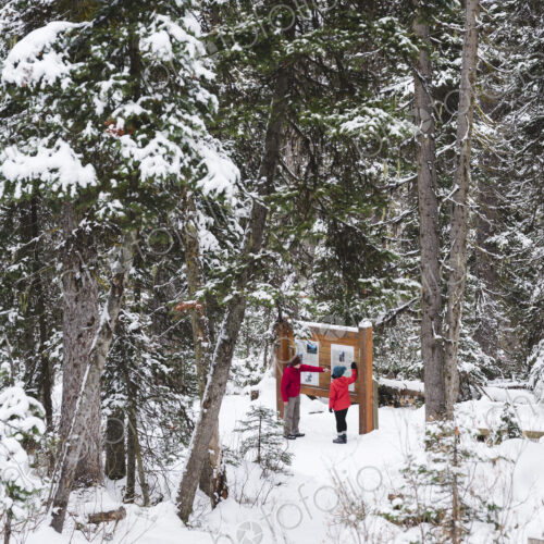Two people in the snow looking at a notice board in winter resort. Two people in the snow looking at a notice board in winter resort.