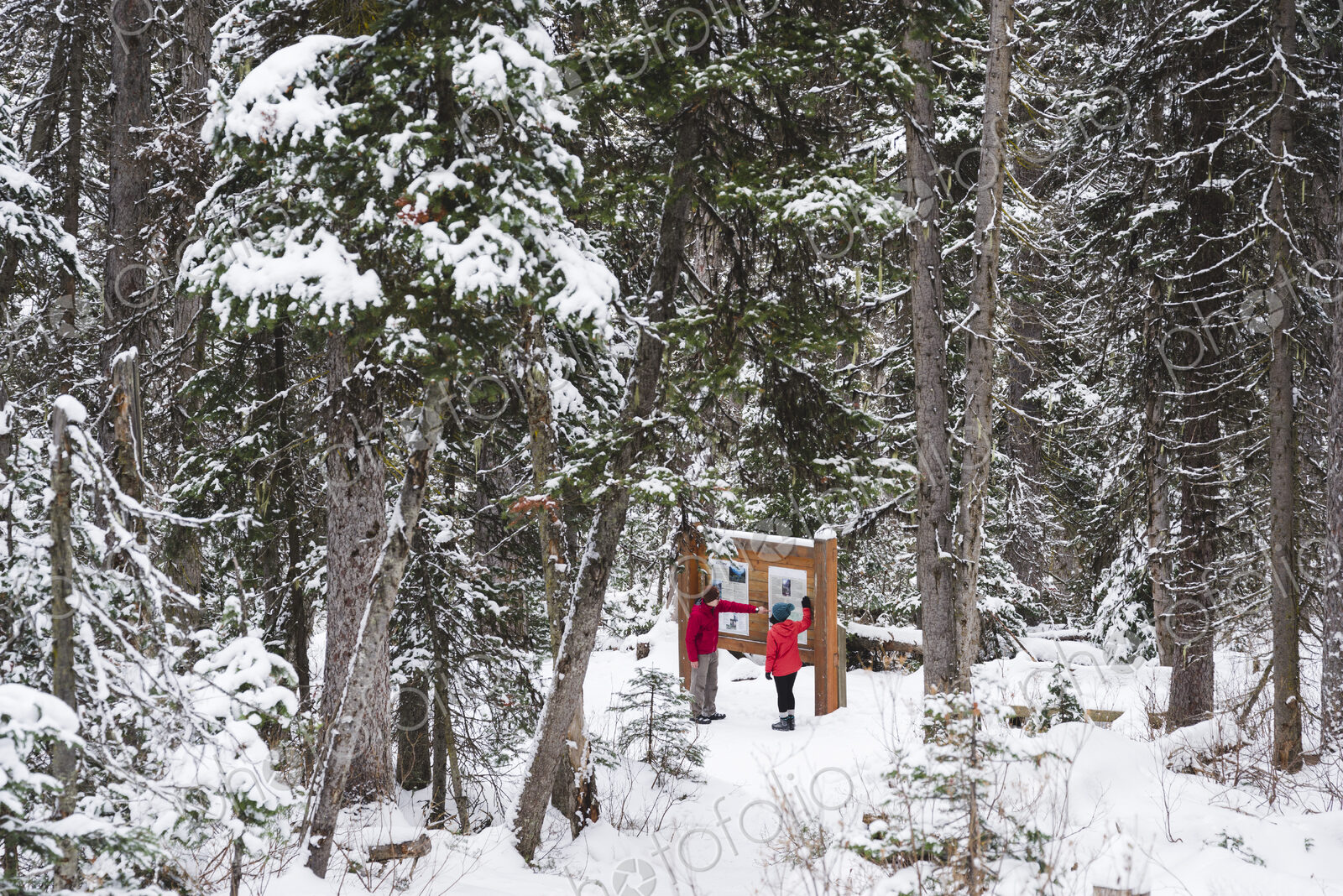 Two people in the snow looking at a notice board in winter resort.