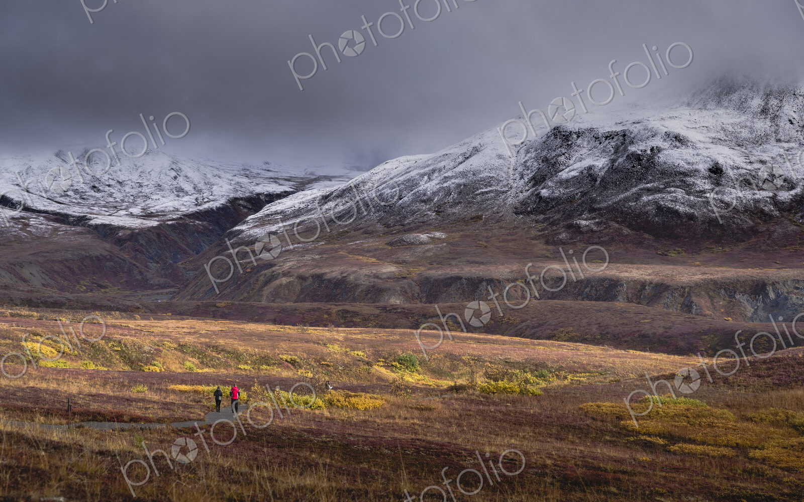 Two people walking towards Denali or Mount McKinley under overcast grey skies.