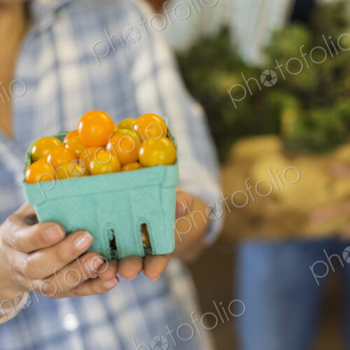Two people with baskets of tomatoes and curly green leafy vegetables. Working on an… Two people with baskets of tomatoes and curly green leafy vegetables. Working on an…