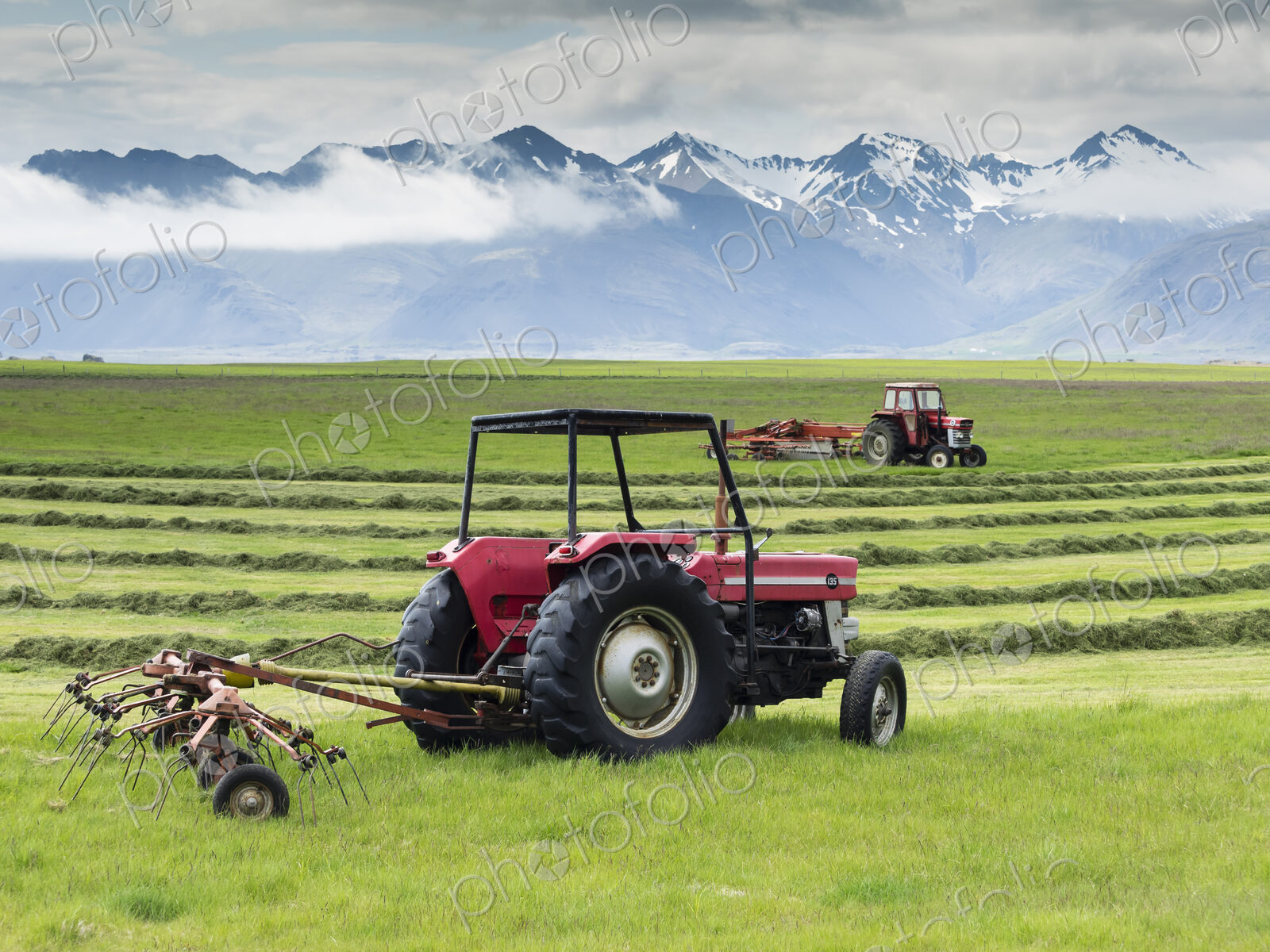 Two red tractors on a farm, working in a field cutting a grass crop.