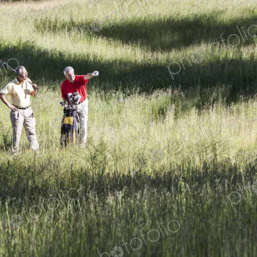 Two senior golfers trying to judge how to play a shot out of heavy rough on a golf course. Two senior golfers trying to judge how to play a shot out of heavy rough on a golf course.