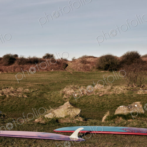 Two surf boards lying on grass near the beach Two surf boards lying on grass near the beach